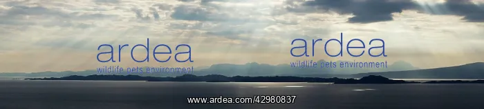 : Torridon and Applecross hills with Rona and Raasay : Torridon and Applecross hills with Rona and Raasay