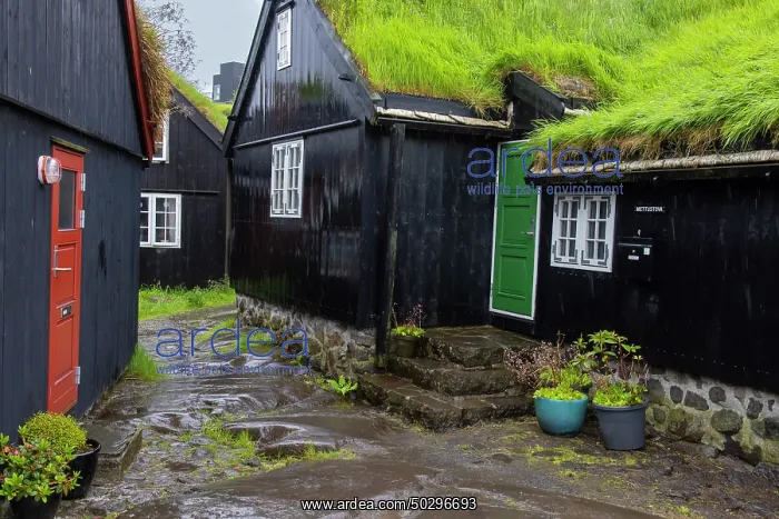 : Torshavn. Old traditional houses in Torshavn - Faroe Islands : Torshavn. Old traditional houses in Torshavn - Faroe Islands