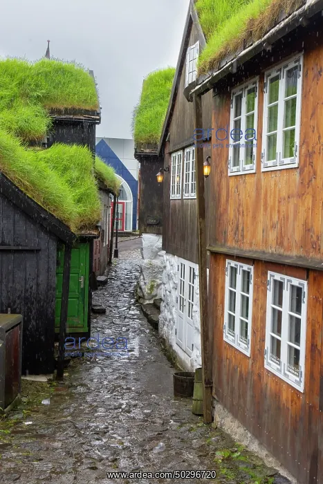 : Torshavn. Old traditional houses in Torshavn - Faroe Islands : Torshavn. Old traditional houses in Torshavn - Faroe Islands