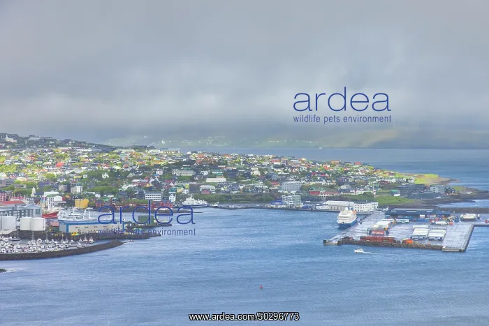 : Torshavn. View at the the city of Torshavn - Faroe Islands : Torshavn. View at the the city of Torshavn - Faroe Islands