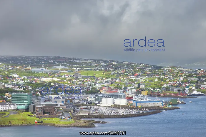 : Torshavn. View at the the city of Torshavn - Faroe Islands : Torshavn. View at the the city of Torshavn - Faroe Islands