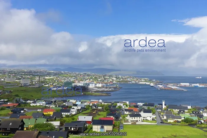 : Torshavn. View at the the city of Torshavn - Faroe Islands : Torshavn. View at the the city of Torshavn - Faroe Islands