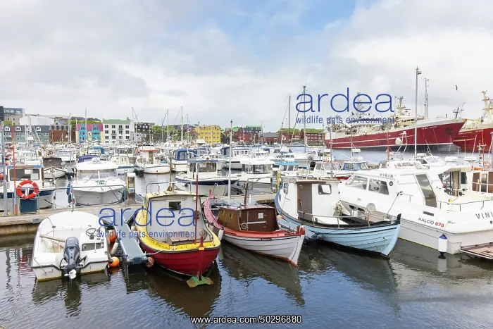: Torshavn. View at the harbour of Torshavn - Faroe Islands : Torshavn. View at the harbour of Torshavn - Faroe Islands