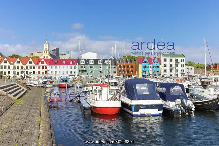 : Torshavn. View at the harbour of Torshavn - Faroe Islands : Torshavn. View at the harbour of Torshavn - Faroe Islands