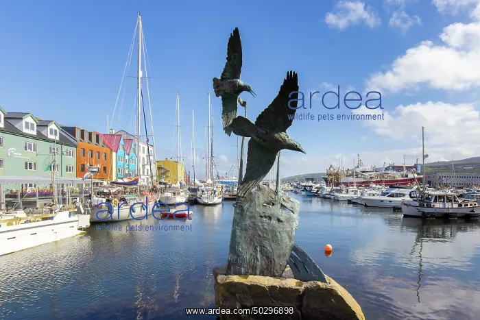 : Torshavn. View at the harbour of Torshavn - Faroe Islands : Torshavn. View at the harbour of Torshavn - Faroe Islands