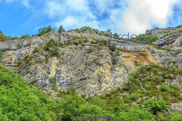 : Tortured folds in the limestone of the Gorges of : Tortured folds in the limestone of the Gorges of
