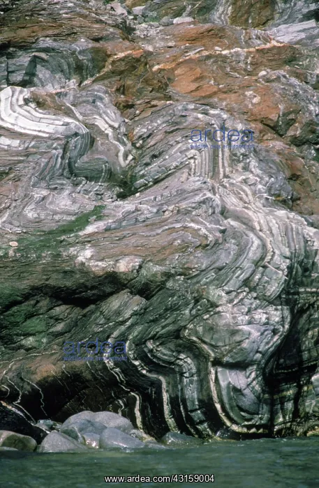 : Tortured Rock : Tortured Rock