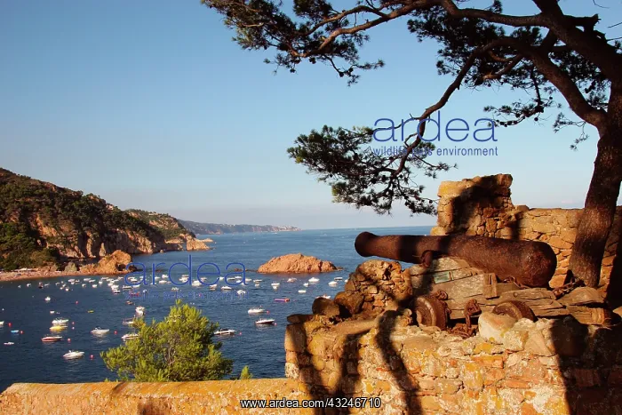 : TOSSA DE MAR. Town located in the Costa : TOSSA DE MAR. Town located in the Costa