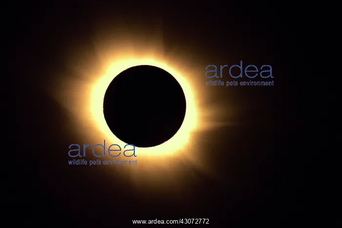 : The total occultation of the sun lasted 2 minutes : The total occultation of the sun lasted 2 minutes