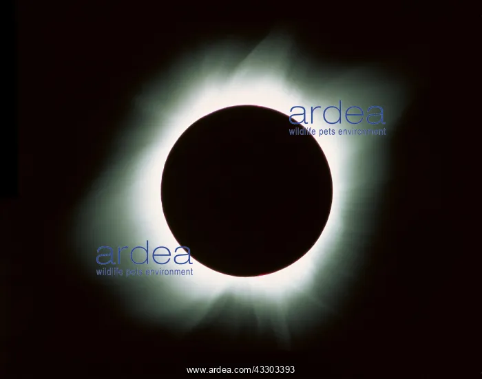 : Total Solar Eclipse - Corona : Total Solar Eclipse - Corona