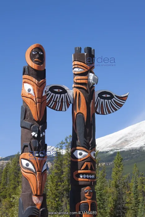 : Totem pole - Jasper National park - Alberta, Canada : Totem pole - Jasper National park - Alberta, Canada