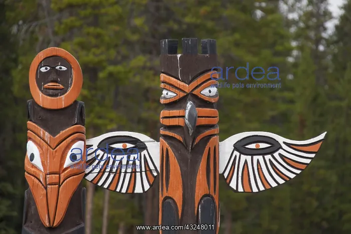 : Totem pole - Jasper National park - Alberta, Canada : Totem pole - Jasper National park - Alberta, Canada