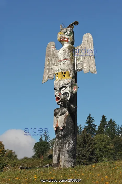 : Totem Pole- tribute to Kwakwaka'wakw Indian : Totem Pole- tribute to Kwakwaka'wakw Indian