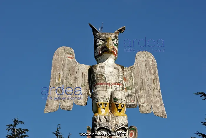 : Totem Pole - tribute to Kwakwaka'wakw Indians : Totem Pole - tribute to Kwakwaka'wakw Indians