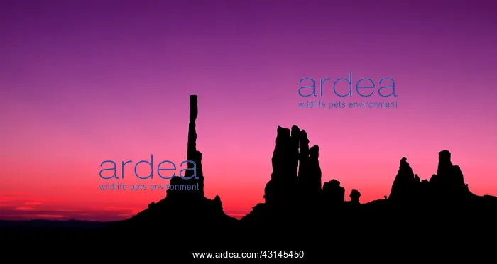 : Totem Pole and Yei be at dawn : Totem Pole and Yei be at dawn
