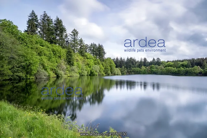 : Tottiford Reservoir - Dartmoor - Devon - UK : Tottiford Reservoir - Dartmoor - Devon - UK