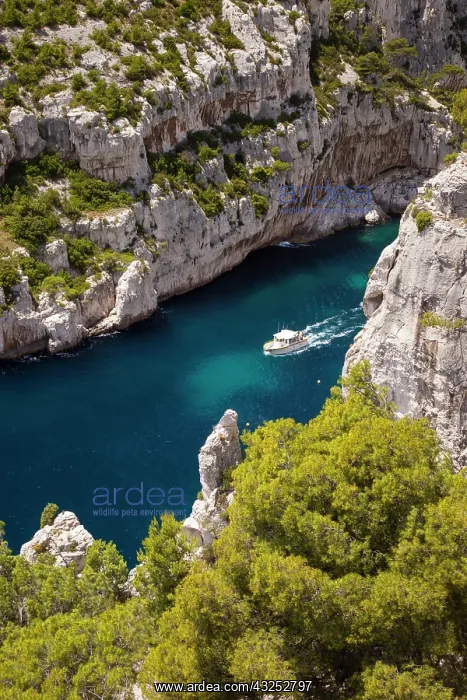 : Tour boat in the Calanques near Cassis : Tour boat in the Calanques near Cassis