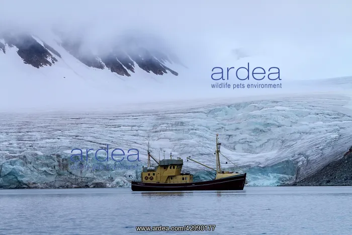: Tourist Boat - in front of glacier : Tourist Boat - in front of glacier