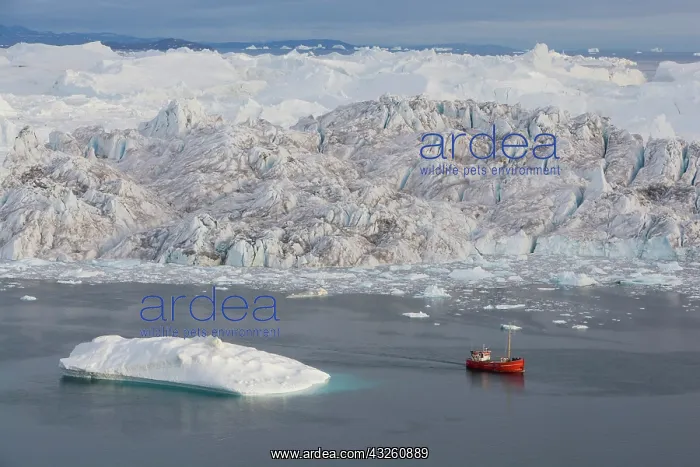 : tourist boat in front of large icebergs : tourist boat in front of large icebergs