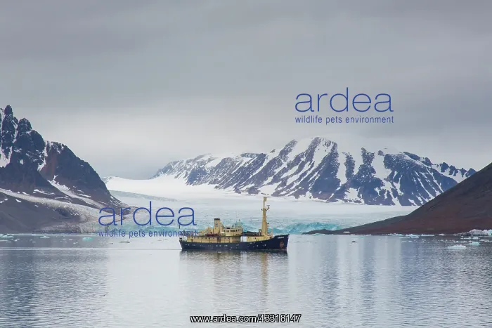 : Tourist boat near Manocobreen in Liefdefjord - Svalbard : Tourist boat near Manocobreen in Liefdefjord - Svalbard
