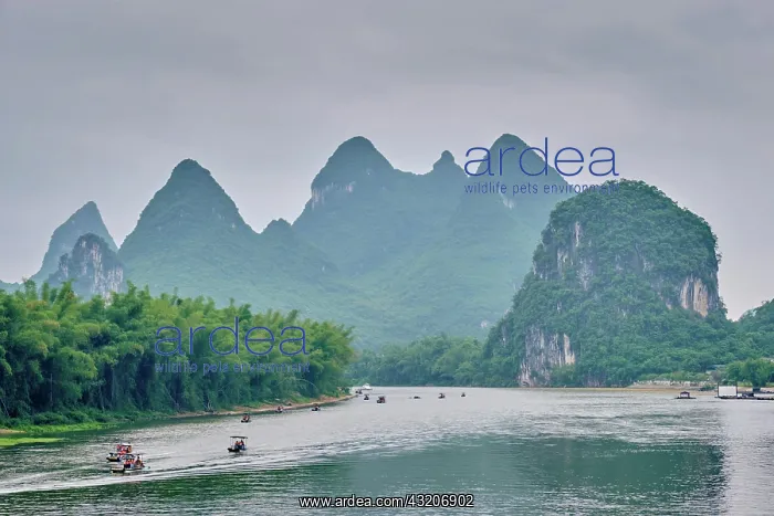 : Tourist boats on Li river with dramatic karst mo : Tourist boats on Li river with dramatic karst mo