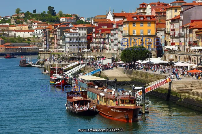 : Tourist boats on the River Douro in Porto, Portugal : Tourist boats on the River Douro in Porto, Portugal