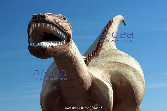 : Tourist Dinosaur : Tourist Dinosaur