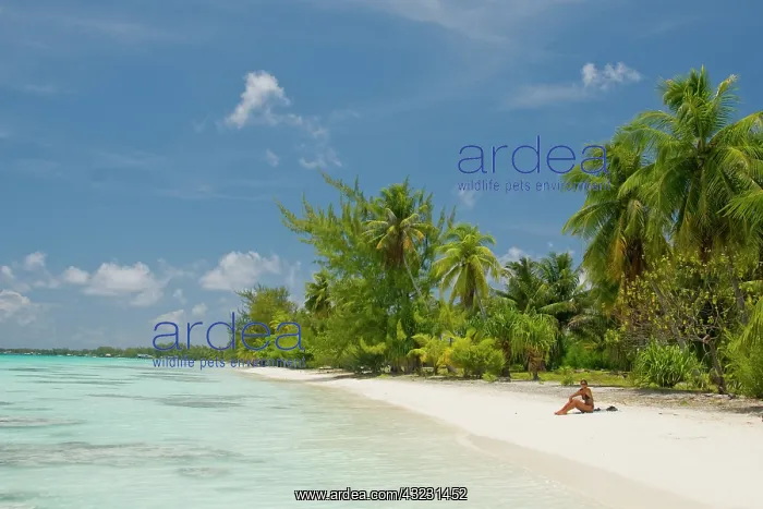 : Tourist enjoying island landscape, Fakarava : Tourist enjoying island landscape, Fakarava