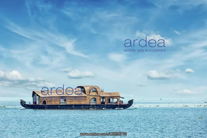 : Tourist houseboat in Vembanadu Lake, Kerala, India, Asia : Tourist houseboat in Vembanadu Lake, Kerala, India, Asia