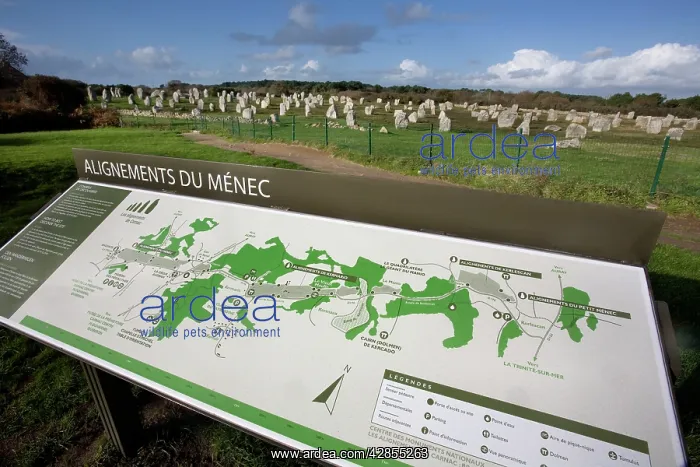 : Tourist Information Sign - Carnac menhirs, Neolithic : Tourist Information Sign - Carnac menhirs, Neolithic