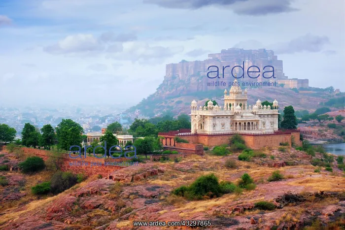  : Tourist landmarks of Jodhpur, Jaswanth Thada mausoleum