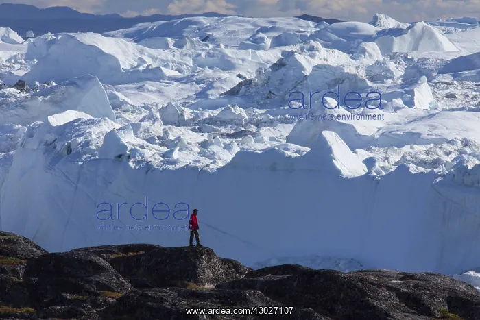 : Tourist looking at the Icefjord - Disco Bay - Greenland : Tourist looking at the Icefjord - Disco Bay - Greenland