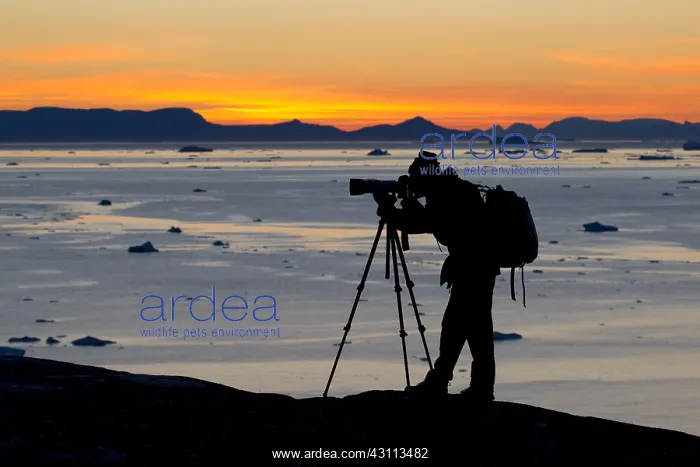 : Tourist looking at the Icefjord - Disco Bay - Greenland : Tourist looking at the Icefjord - Disco Bay - Greenland