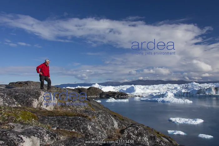 : Tourist looking at the Icefjord - Disco Bay - Greenland : Tourist looking at the Icefjord - Disco Bay - Greenland