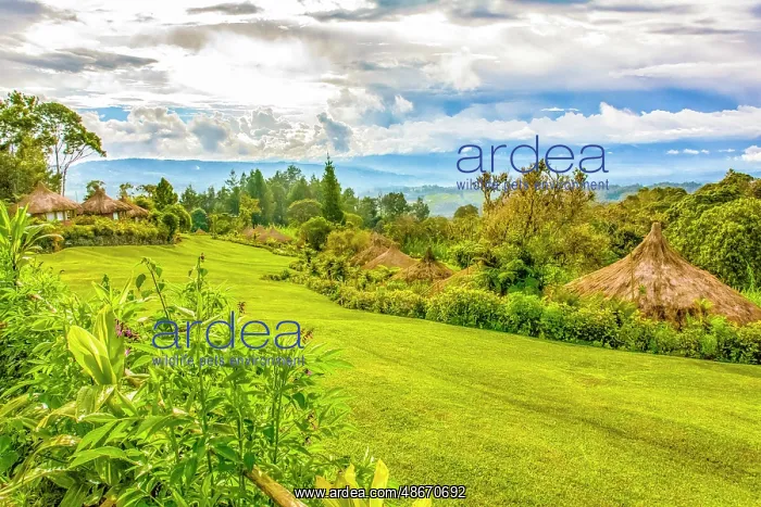 : Tourist Resort, Highlands, Papua New Guinea. Landscape view : Tourist Resort, Highlands, Papua New Guinea. Landscape view