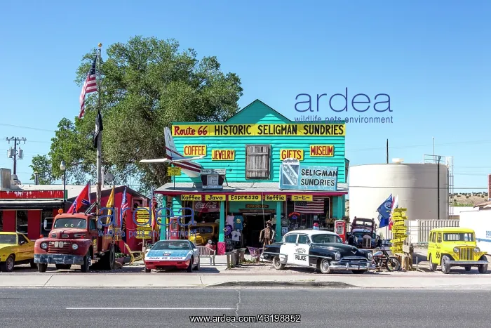 : Tourist shops, Seligman, Arizona, United States : Tourist shops, Seligman, Arizona, United States