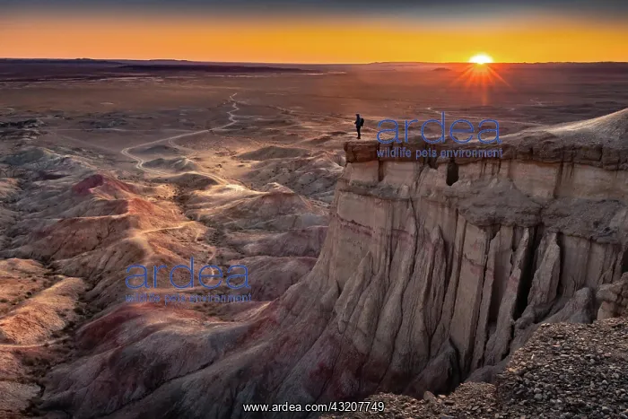 : Tourist standing on rock formation Tsagaan Suvarga : Tourist standing on rock formation Tsagaan Suvarga