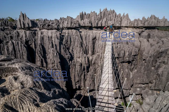 : Tourist on suspension bridge over gorge in rugged : Tourist on suspension bridge over gorge in rugged