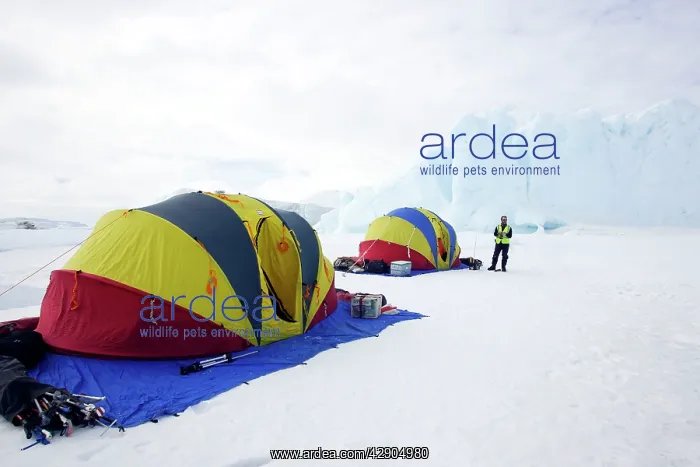 : Tourist tents : Tourist tents