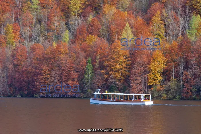 : Touristenboat at K'nigssee / Kings Lake Berchtesgaden : Touristenboat at K'nigssee / Kings Lake Berchtesgaden