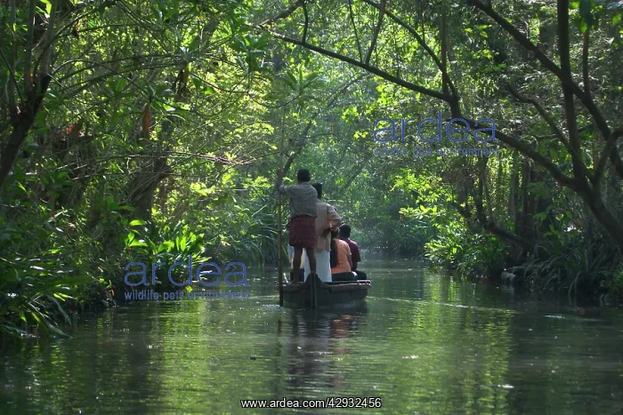 : Tourists - Backwater tourism : Tourists - Backwater tourism