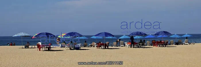 : Tourists - at beach - : Tourists - at beach -