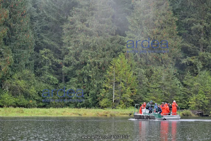 : Tourists on a boat looking for Bears : Tourists on a boat looking for Bears