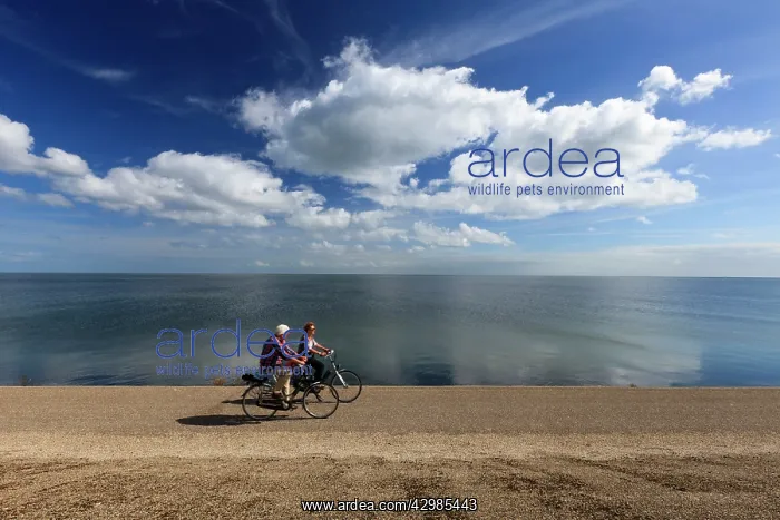 : Tourists - two cycling along the reinforced East : Tourists - two cycling along the reinforced East
