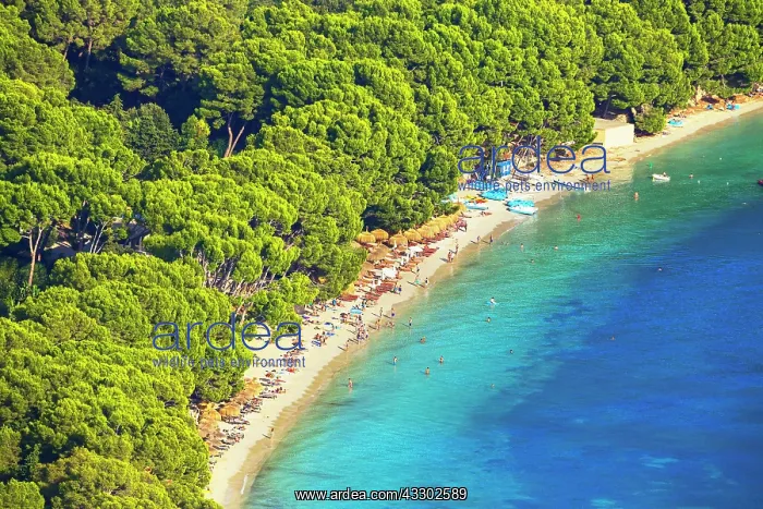 : Tourists at Formentor beach, Mallorca, Balearic : Tourists at Formentor beach, Mallorca, Balearic