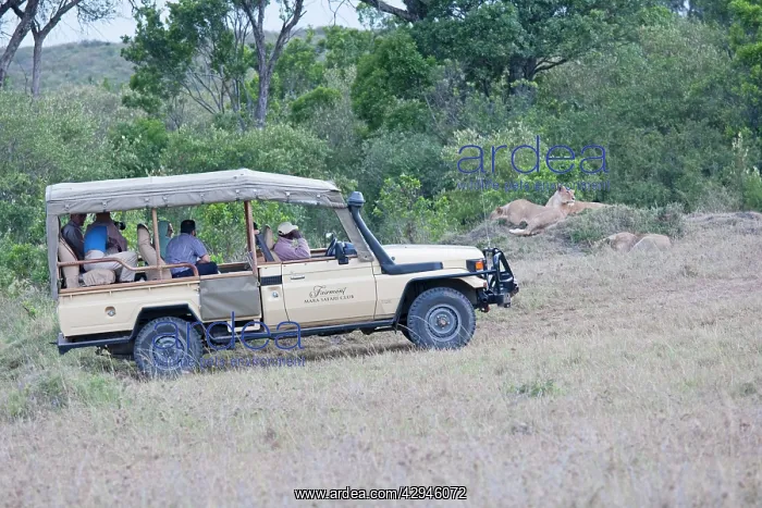 : Tourists game viewing from vehicles : Tourists game viewing from vehicles