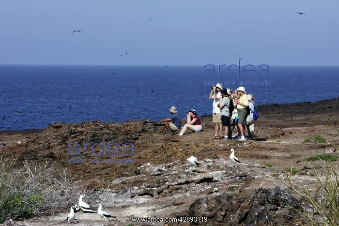 : Tourists - at Genovesa Island : Tourists - at Genovesa Island