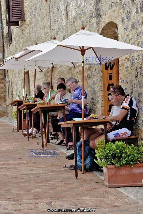 : Tourists at outdoor cafe, Monteriggioni : Tourists at outdoor cafe, Monteriggioni