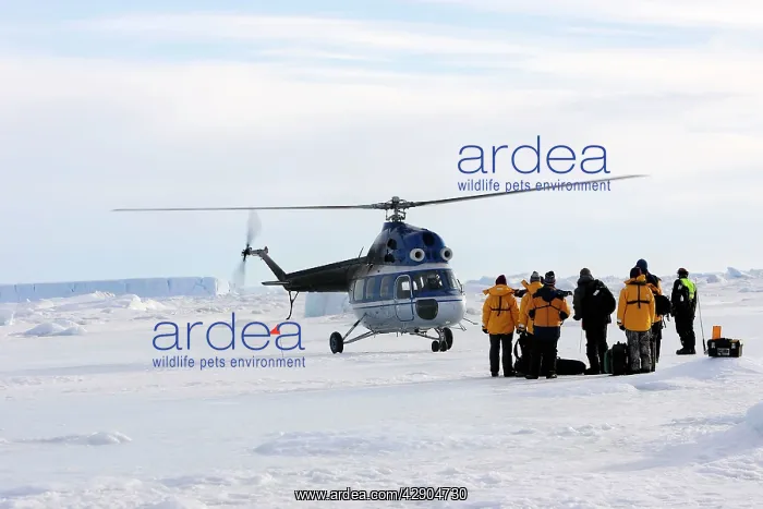 : Tourists - being picked up by helidcopter : Tourists - being picked up by helidcopter