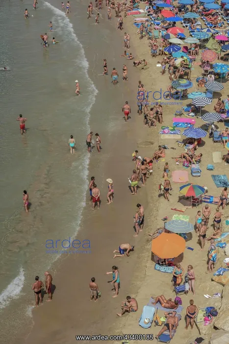 : Tourists at the Playa Mal Pas, Benidorm, Province : Tourists at the Playa Mal Pas, Benidorm, Province